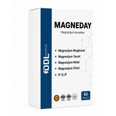 Magneday cps a60
