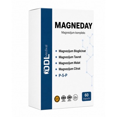 Magneday cps a60 Magneday cps a60