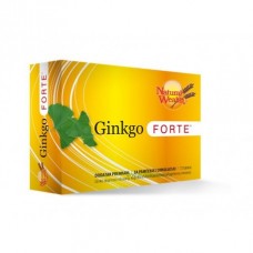 NW Ginko forte A60